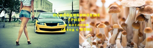 ECSTASY Алексин