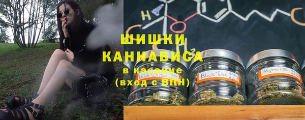 дживик Абаза