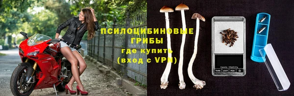 соль ск Алексеевка